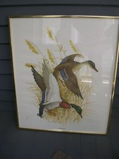 Charles murphy mallards for sale  Jackson