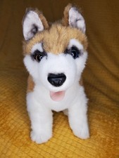 husky plush for sale husky plush for sale Scottsdale