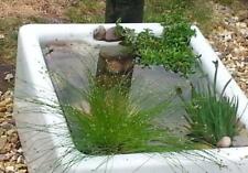Wildlife pond starter for sale  LEYLAND