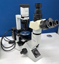 Olympus microscope ckx41sf for sale  IRVINE