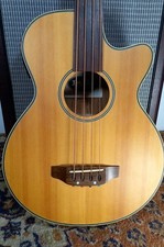 Indie fretless electro for sale  LEDBURY