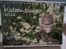 Katzenzauber din tischkalender gebraucht kaufen  Waldkraiburg