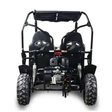 Karts baratos 2020 Renli EEC5 500cc 4x4 Racing Dune por 2 lugares comprar usado  Enviando para Brazil