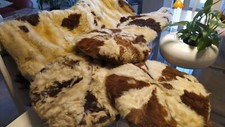 Coperta lapin coniglio usato  Baranzate