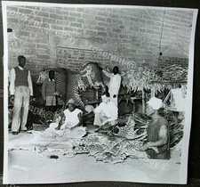 antique animal animal skins for sale antique animal animal skins for sale PRESTON