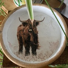 Highland cow recycled for sale  NEW QUAY