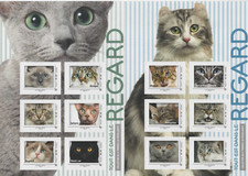 Timbres regard chats d'occasion  Marseille V