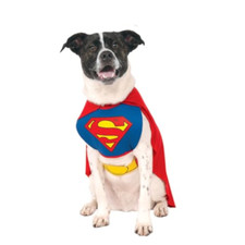 Rubie costume superman usato  Roccagloriosa
