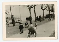 Snapshot photo parc d'occasion  Avignon