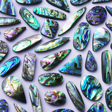 Nacre abalone océan d'occasion  Gerzat