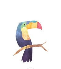 Tatouage éphémère toucan d'occasion  Saint-Cloud