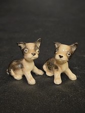 puppie boston terrier for sale  Riverside