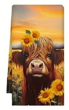 Scottish highland cow for sale  Mukwonago