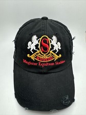 Schweiss magister equitum for sale  Shakopee