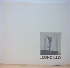 Leoncillo usato  Italia