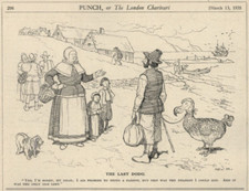 Last dodo bird for sale  Milton