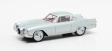 Nash rambler palm gebraucht kaufen  Biberach an der Riß