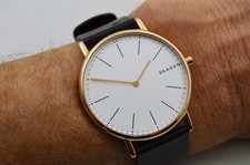 Skagen skw6430 herren gebraucht kaufen  Wattenheim