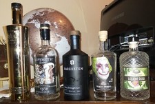 Bottiglie gin altri usato  Italia