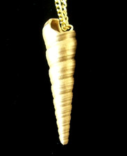 Auger seashell gold for sale  West Jordan