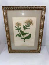 Hemp agrimony 1893 for sale  Montclair