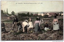 Cote recolte pommes d'occasion  France