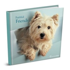 Faithful friends wpl for sale  AMMANFORD