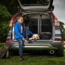 Touareg dog guard for sale  FARNHAM