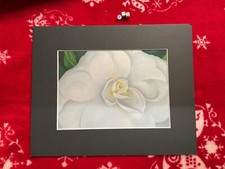 Rare vintage art for sale  WALSALL