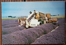 Postcard harvesting famous for sale  BECCLES