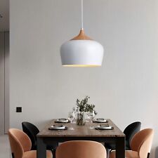 Pendelleuchte holzelement lamp gebraucht kaufen  Mechernich
