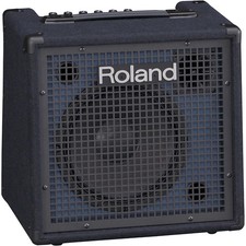 Roland keyboard amplifier for sale  Kansas City
