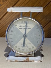 Vintage american family for sale  Springfield