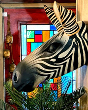 Madagascar large lifesize for sale  Westminster