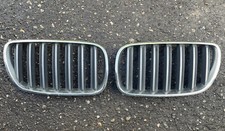 Bmw e83 nieren gebraucht kaufen  Bannewitz