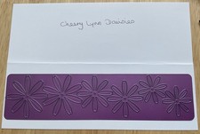 Cheery lynn daisies for sale  GOSPORT