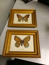 Vintage machaon apollon for sale  Elizabeth