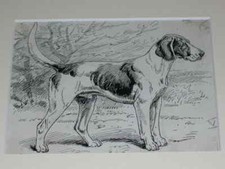 Original 1895 antique for sale  WARRINGTON