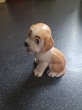 staffordshire st bernard dog for sale staffordshire st bernard dog for sale KETTERING