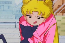 Sailor moon animation for sale  Kirksville