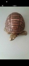Tartaruga fermaporta sopramobi usato  Italia