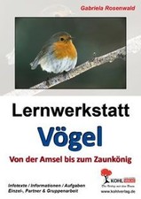 Lernwerkstatt vögel amsel gebraucht kaufen  Berlin