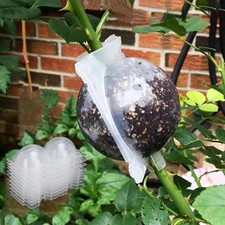 Transparent plant rooting for sale  Azusa