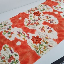 Orange starflower 14x64 for sale  Beverly Hills