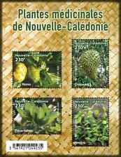 Caledonia 2024 caledonie d'occasion  Expédié en Belgium