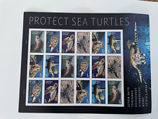 Protect sea turtles for sale  Millsboro