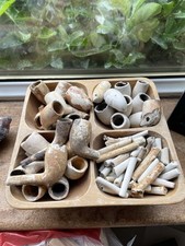 Old clay pipes for sale  TROON