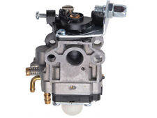 carburatore tagliaerba tecumseh usato carburatore tagliaerba tecumseh usato Colle di Val d'Elsa