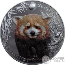 Red panda rosso usato  Ciampino