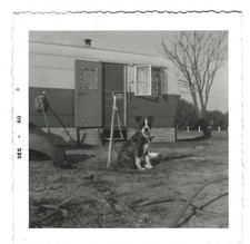 Vintage vernacular snapshots for sale  Cary